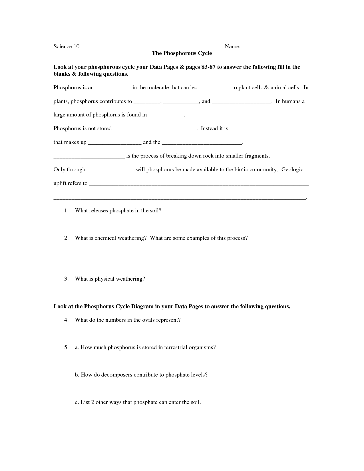 18 Rock Cycle Worksheet Middle School Worksheeto