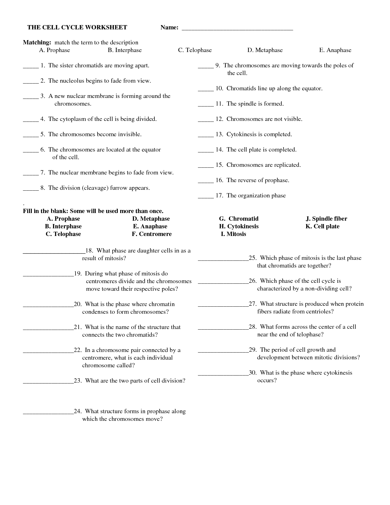 19 Cell Cycle Review Worksheet Worksheeto