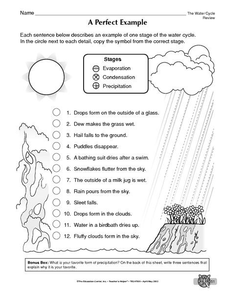  20 Bill Nye Water Cycle Worksheet Simple Template Design