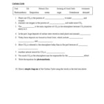 20 Integrated Science Cycles Worksheet Answers Worksheet From Home