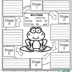 30 Animal Life Cycle Worksheets 3Rd Grade Free