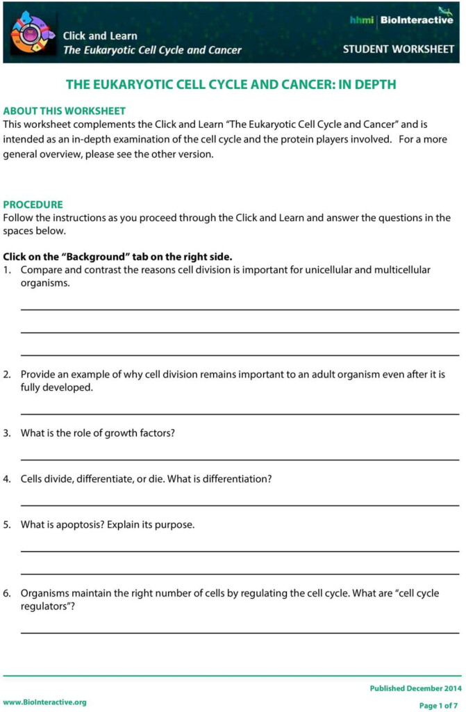 30 Cancer And The Cell Cycle Worksheet Worksheets Decoomo