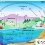 32 Carbon Cycle Worksheet High School Support Worksheet