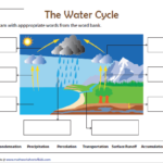 33 Label Water Cycle Diagram Labels Database 2020