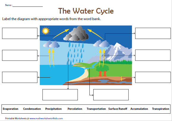 33 Label Water Cycle Diagram Labels Database 2020