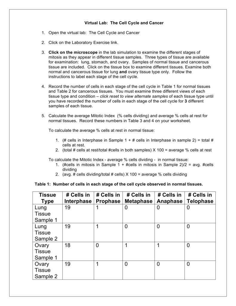 40 Virtual Lab The Cell Cycle And Cancer Worksheet Answers Worksheet Information