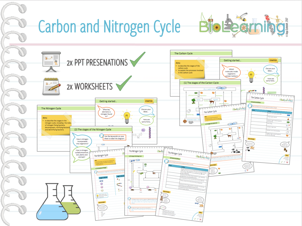 4x Carbon And Nitrogen Cycle 2x Powerpoint PPTs And 2x Worksheets 