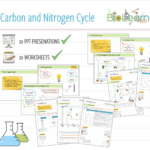 4x Carbon And Nitrogen Cycle 2x Powerpoint PPTs And 2x Worksheets