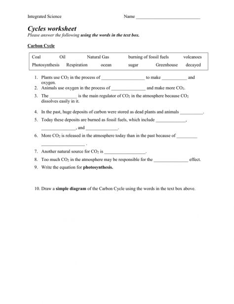 8 Integrated Science Cycles Worksheet Sulfur Cycle Carbon Cycle 