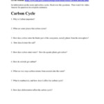 8 Nitrogen Cycle Reading Worksheet Reading Worksheets Nitrogen