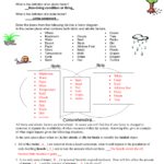 Abiotic Vs Biotic Factors Worksheet Answers