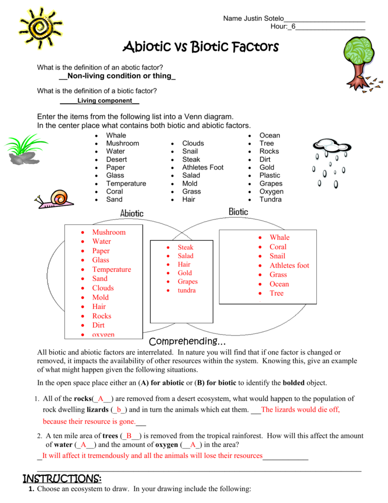 Abiotic Vs Biotic Factors Worksheet Answers