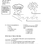 Actividad Interactiva De Water Cycle Para Grade 2