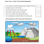 Actividad Online Gratuita De Water Cycle