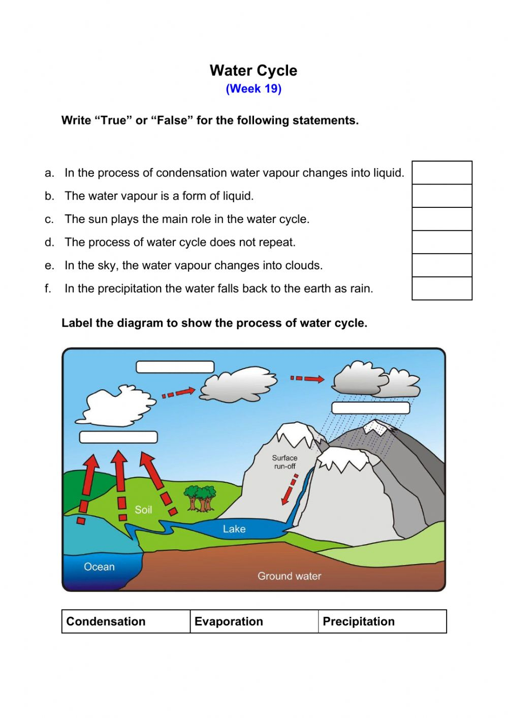 Actividad Online Gratuita De Water Cycle