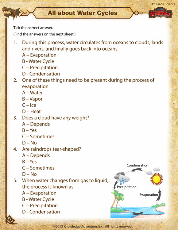 All About Water Cycles View 4th Grade Kids Worksheet SoD