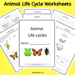 Animal Life Cycle Worksheets