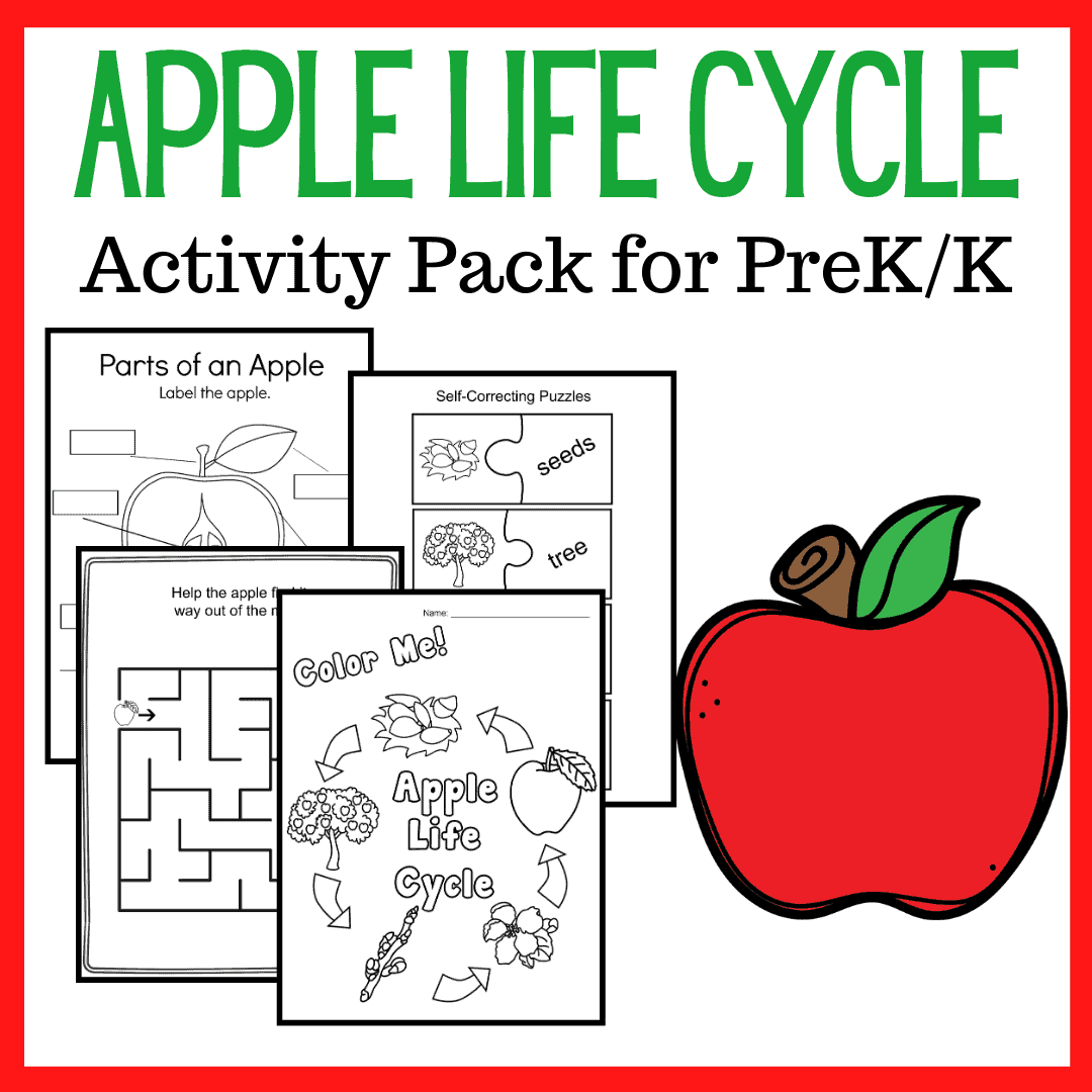 Apple Life Cycle Printable