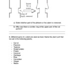 Atp Adp Cycle Worksheet 11