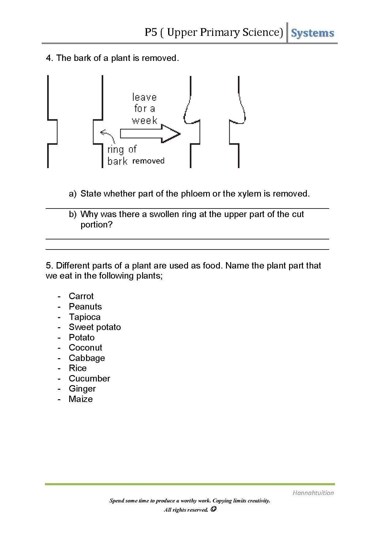 Atp Adp Cycle Worksheet 11