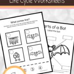 Bat Life Cycle Worksheets In 2020 Life Cycles Homeschool Prek Life