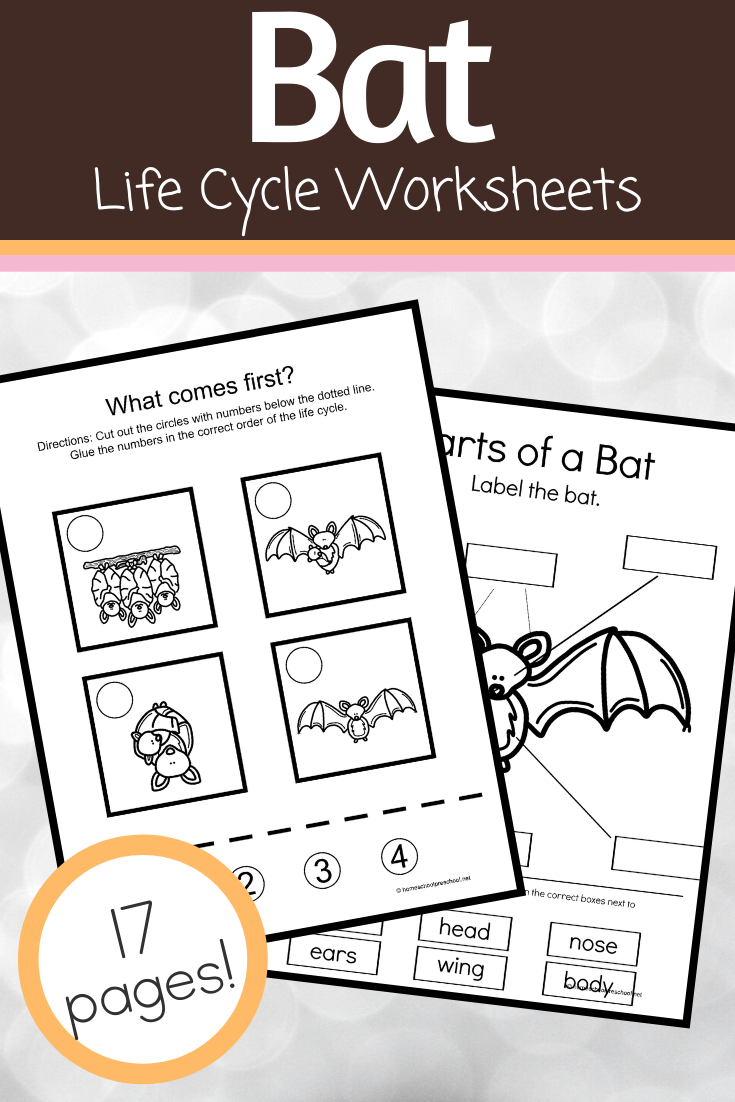 Bat Life Cycle Worksheets In 2020 Life Cycles Homeschool Prek Life