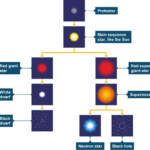 BBC GCSE Bitesize Life Cycles Of Stars Star Life Cycle Life