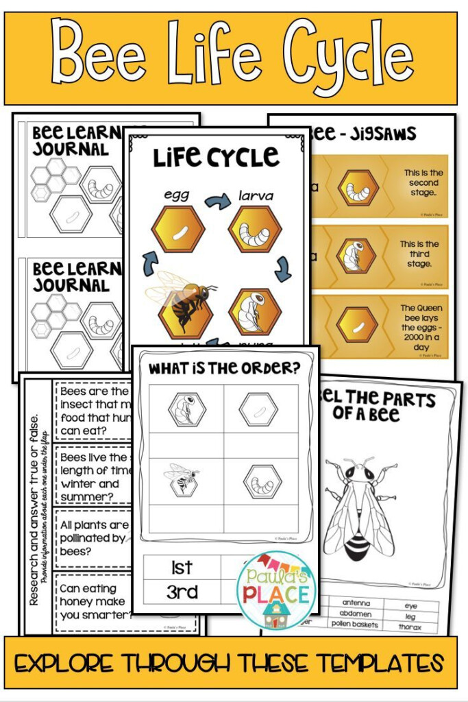 Bee Life Cycle Activities And Worksheets Bee Life Cycle Life Cycles 