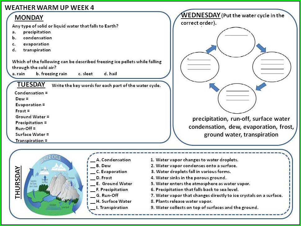 Bill Nye Life Cycles Worksheet Answers Kayra Excel