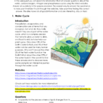 Biogeochemical Cycles Webquest Db excel