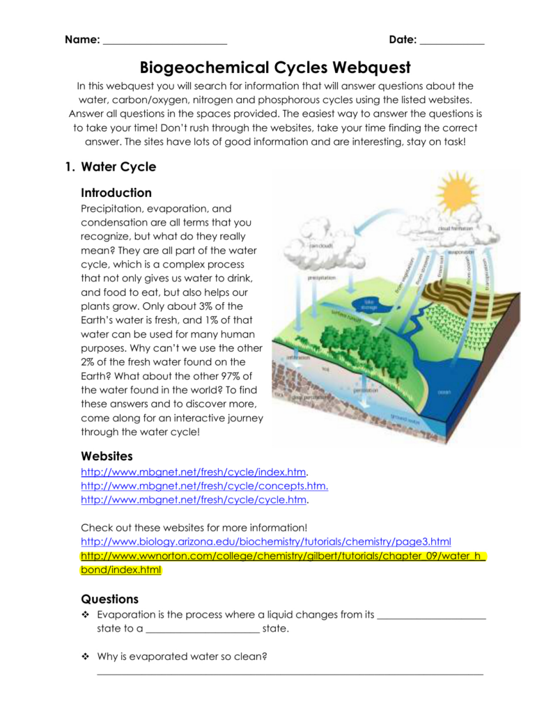 Biogeochemical Cycles Webquest Db excel