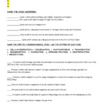 Biogeochemical Cycles Worksheet