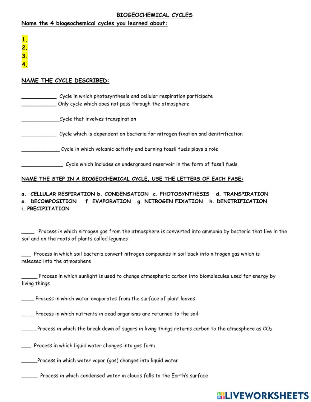 Biogeochemical Cycles Worksheet