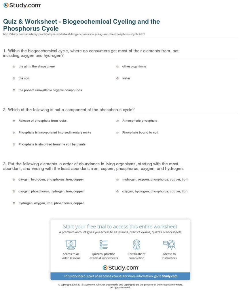 Biogeochemical Cycles Worksheet Answer Key Excelguider