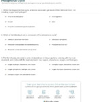 Biogeochemical Cycles Worksheet Answer Key Excelguider