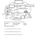 Biogeochemical Cycles Worksheet Answers Word Worksheet