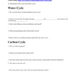 Biogeochemical Cycles Worksheet Answers Word Worksheet