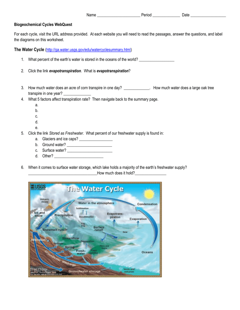 Biogeochemical Cycles Worksheet Answers