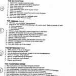 Bozeman Science Biogeochemical Cycles Worksheet Answers