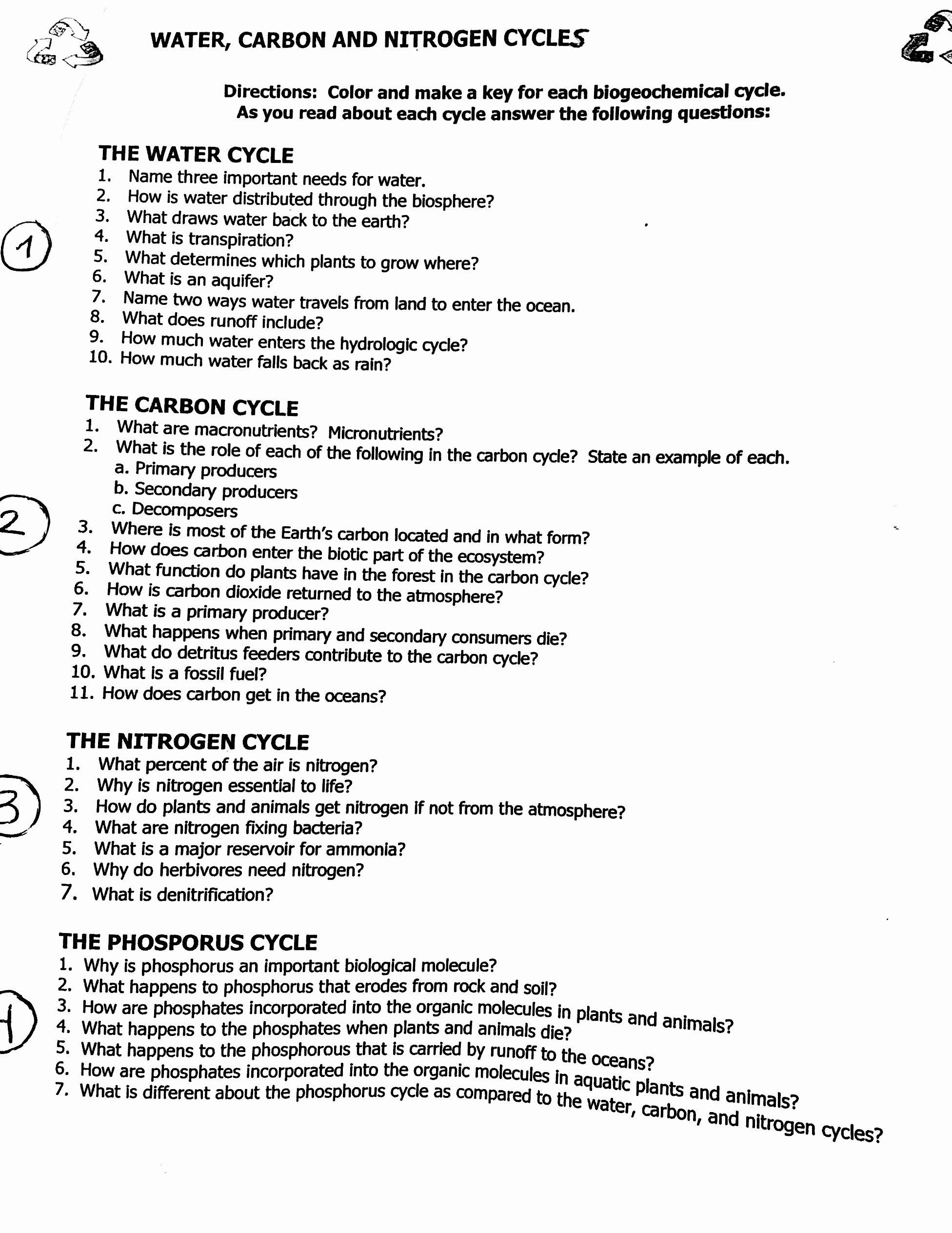 Bozeman Science Biogeochemical Cycles Worksheet Answers 