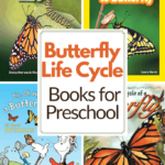 Butterfly Life Cycle Books For Preschoolers