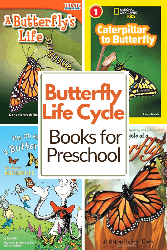 Butterfly Life Cycle Books For Preschoolers