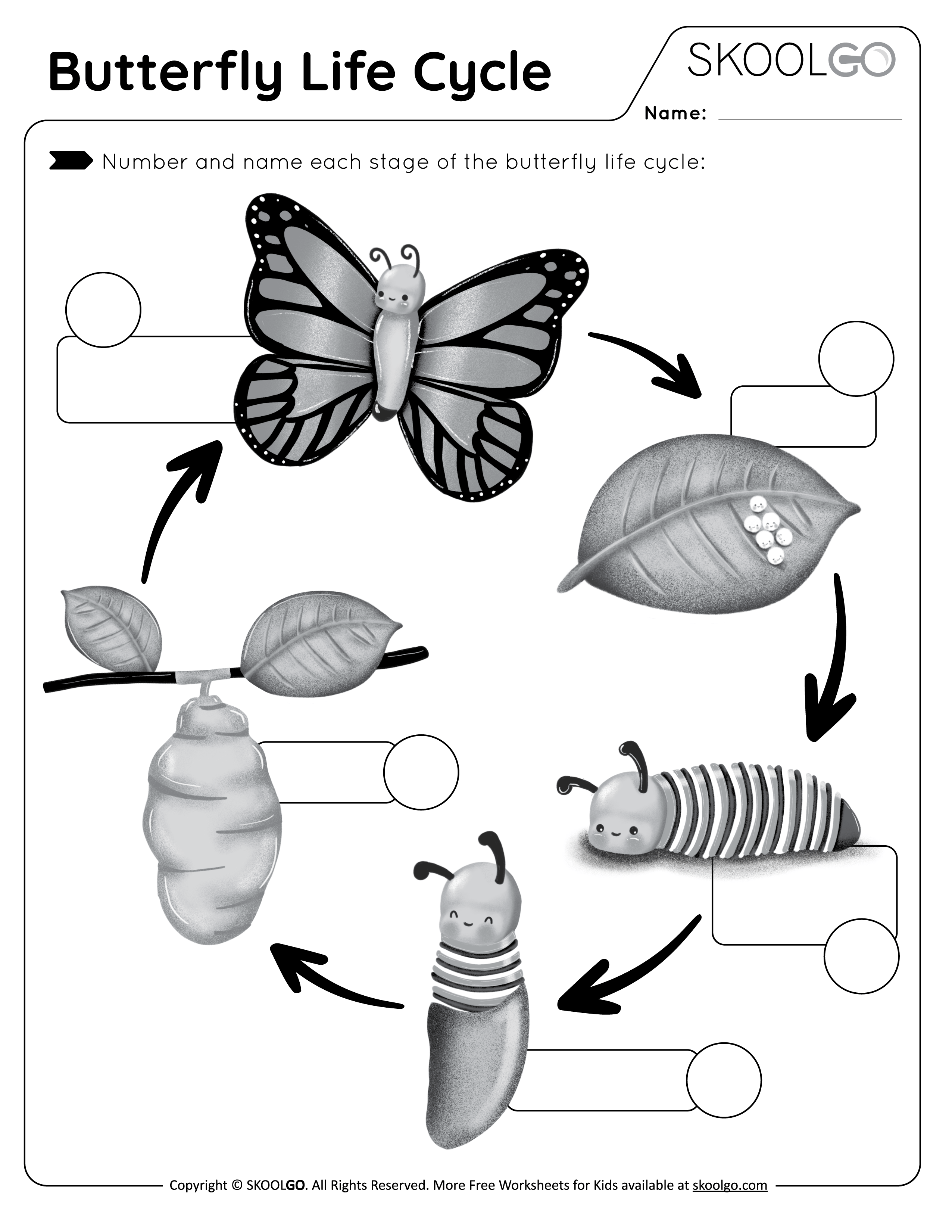 Butterfly Life Cycle Free Worksheet SKOOLGO