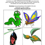 Butterfly Life Cycle Worksheet Have Fun Teaching