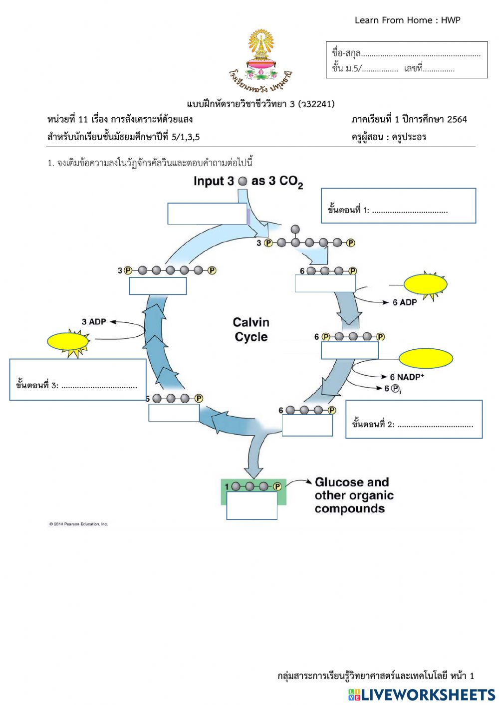 Calvin Cycle Interactive Worksheet