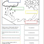 Cambridge Science Grade 2 Worksheet Worksheet Resume Examples