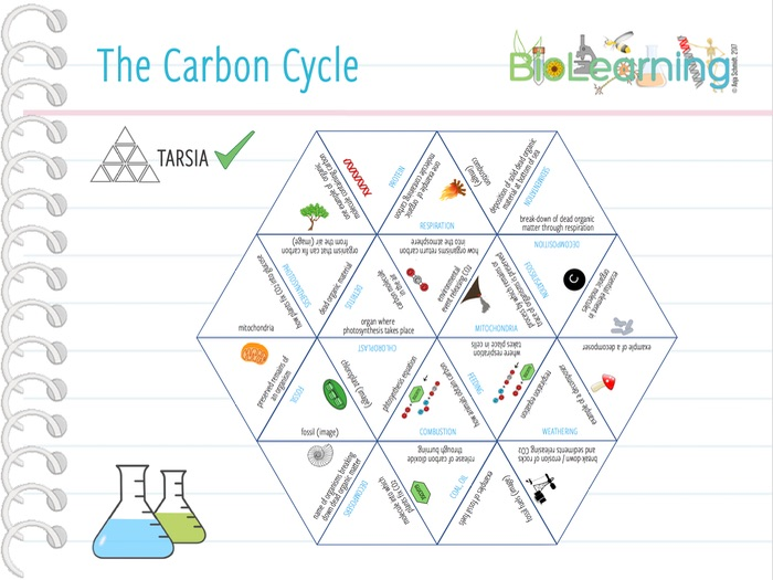 Carbon Cycle 6x Activities And Games KS3 KS4 Teaching Resources