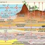 Carbon Cycle Definition Steps Importance Diagram Facts Britannica