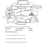 Carbon Cycle Diagram Worksheet