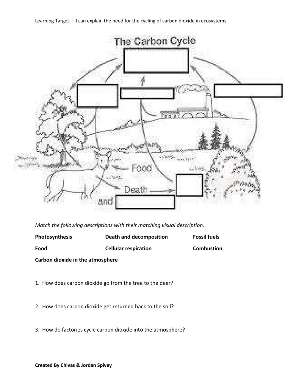 Carbon Cycle Diagram Worksheet